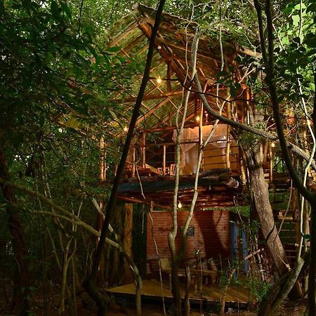 Villa Back Of Beyond - Pidurangala Sigiriya Exterior foto