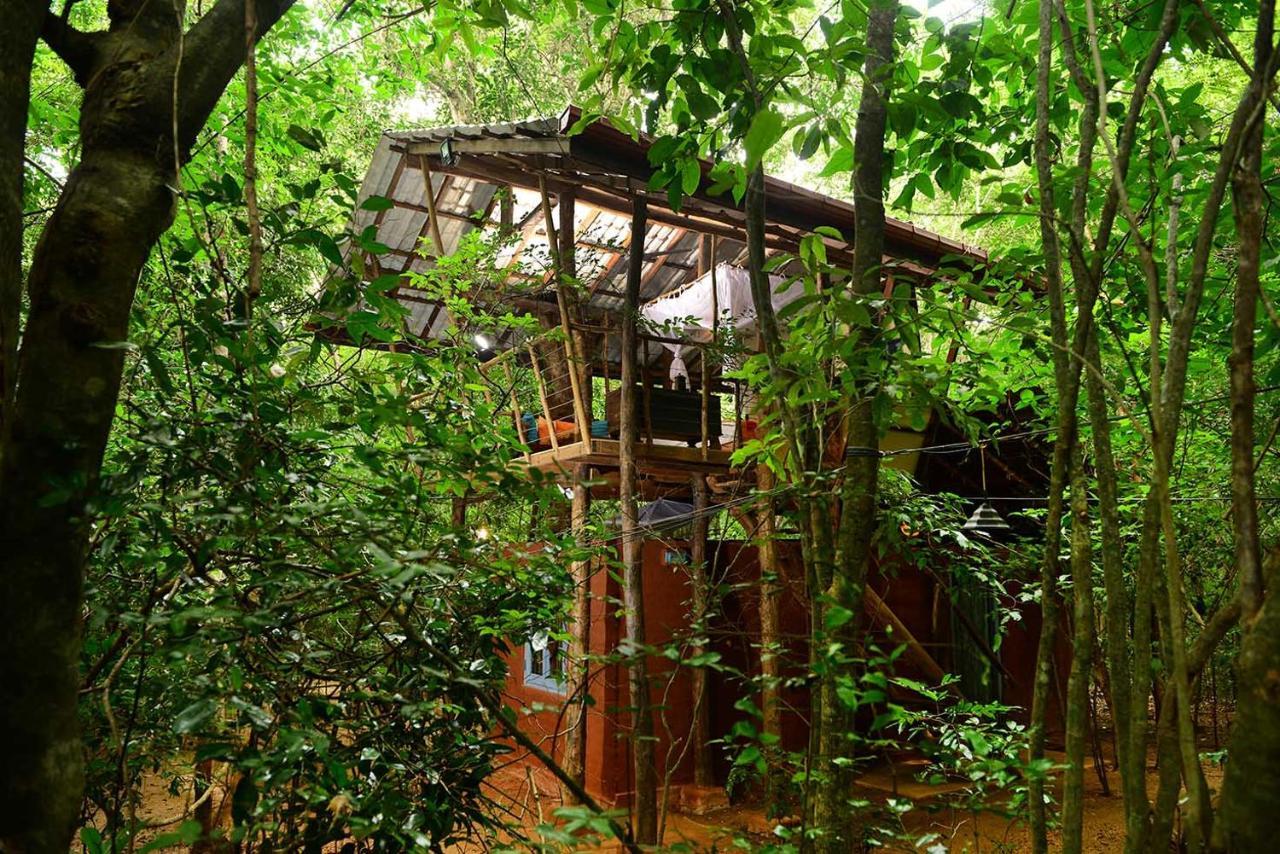 Villa Back Of Beyond - Pidurangala Sigiriya Exterior foto