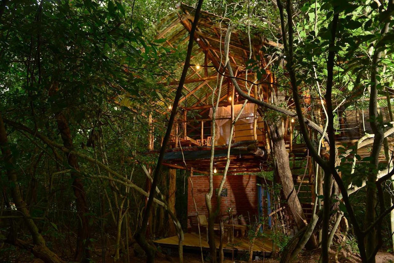 Villa Back Of Beyond - Pidurangala Sigiriya Exterior foto